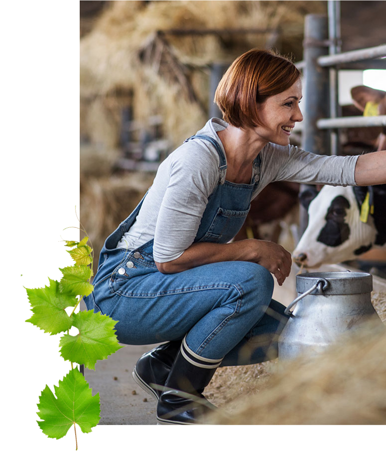 Nông dân làm việc